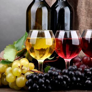 Vinos & Licores Premium