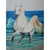 caballo-blanco
